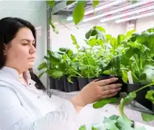 Russian State Agrarian University - K.A. Timiryazev MSHA