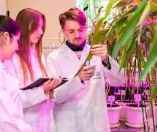 Russian State Agrarian University - K.A. Timiryazev MSHA