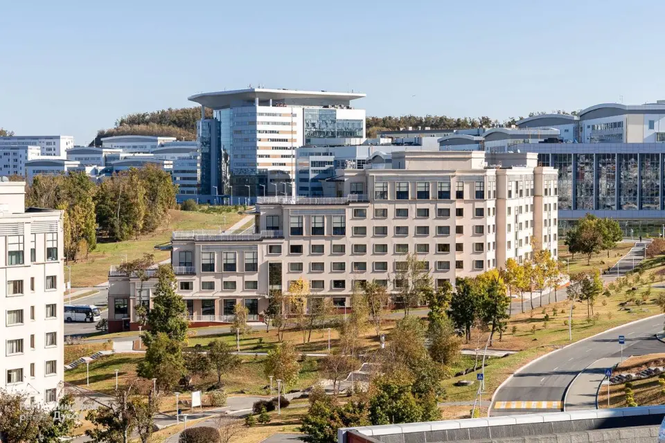 Ыраакы Чыгыш федералдык университети