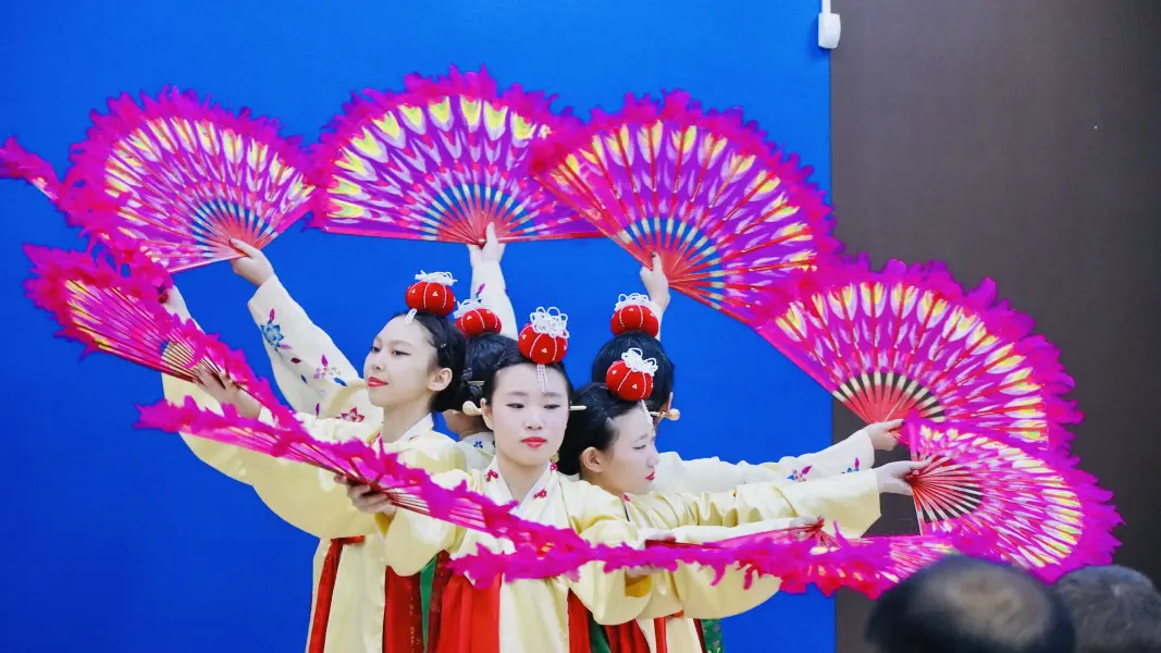 Université fédérale du Sud