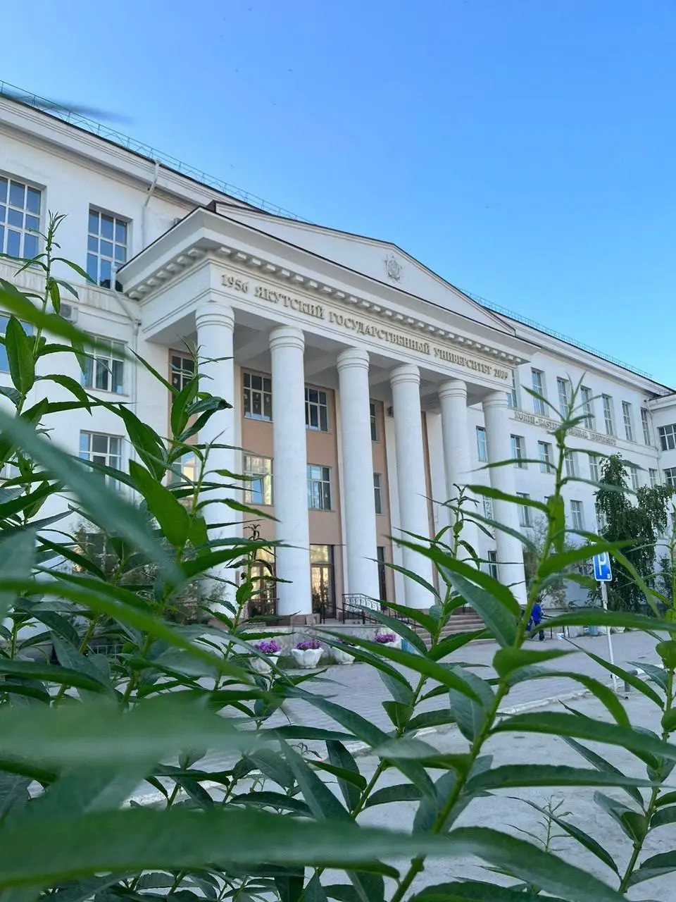 دانشگاه فدرال شمال شرقی ماکسیم کیرویچ آموسوف